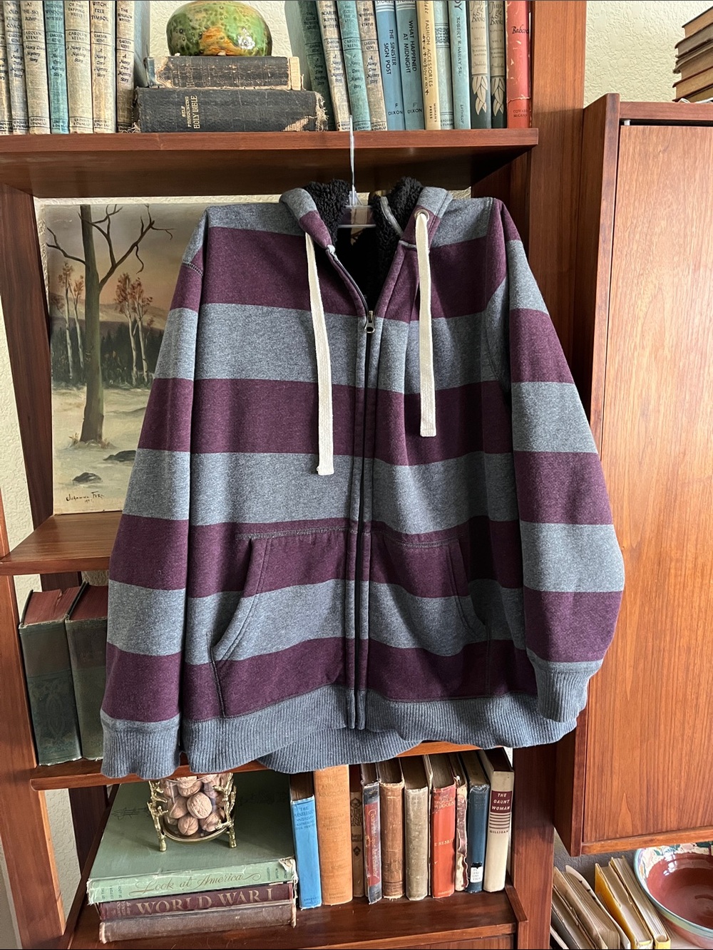 Men's Striped Hooded Zip-Up Sweatshirt in Gray and Plum